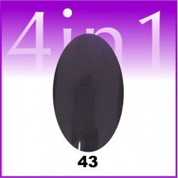 Gel color One Stroke 4 in 1 #43